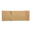 Image of Original Flat Panel Beige Support Belt Large No Hole, 4" Wide, Regular Elastic